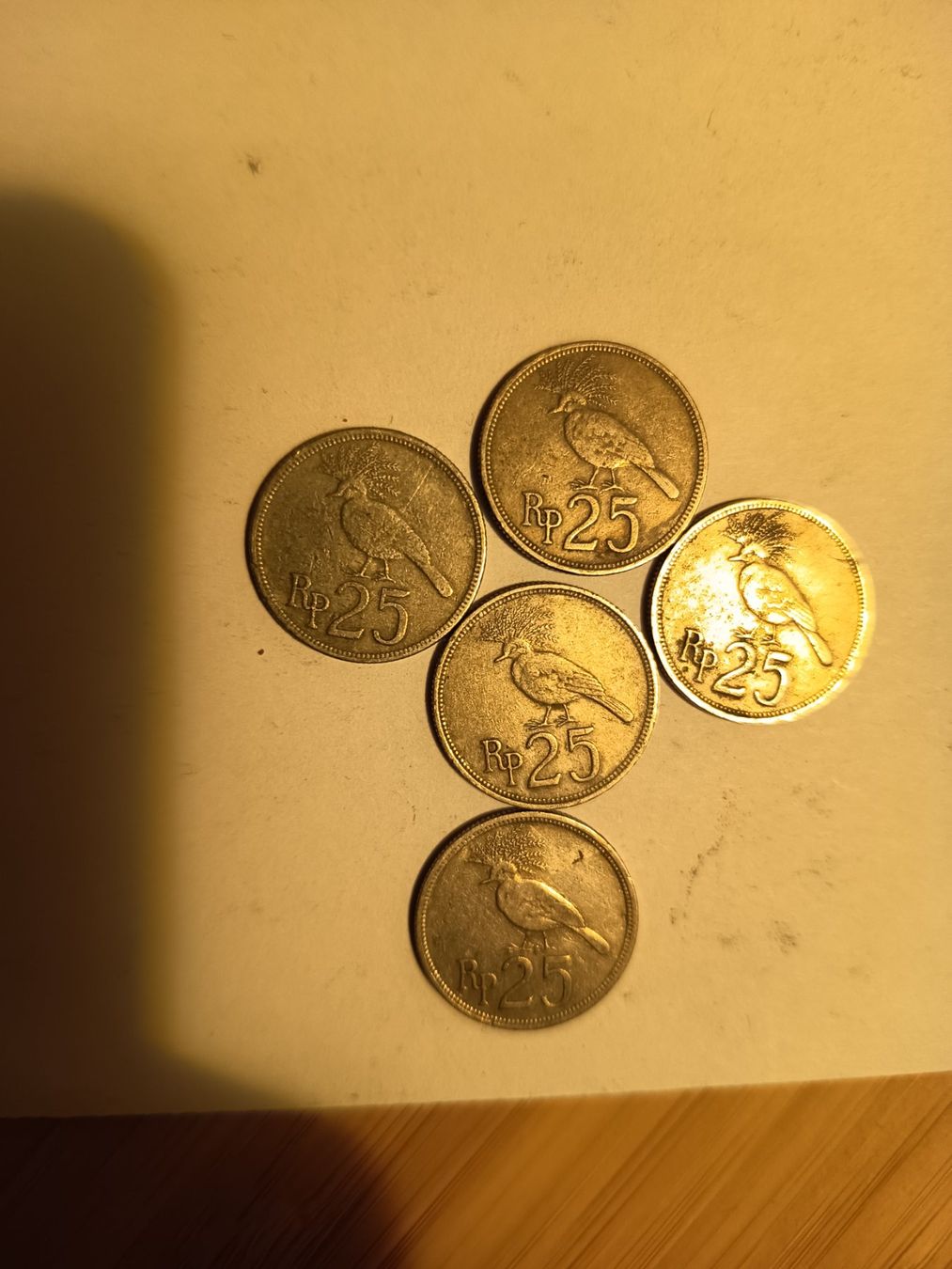 Tutti le monete: 25 rupien 5x indonesien   grip nr44 – Usato da Wattwil venduto da LuckyLegoandCoins 3