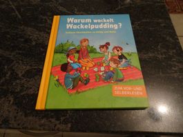 Buch Warum wackelt Wackelpudding gebraucht sehr gut  OKT6
