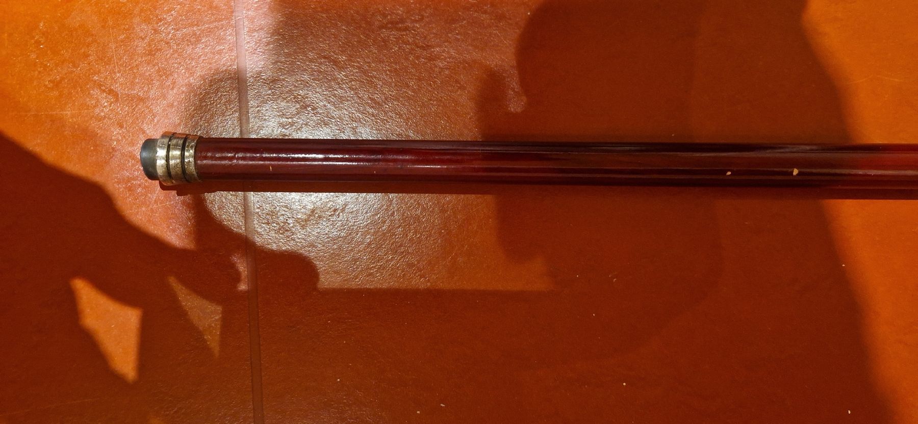 Gehhilfen: Walking cane – Gebraucht aus Burgdorf von maj_swz8 3