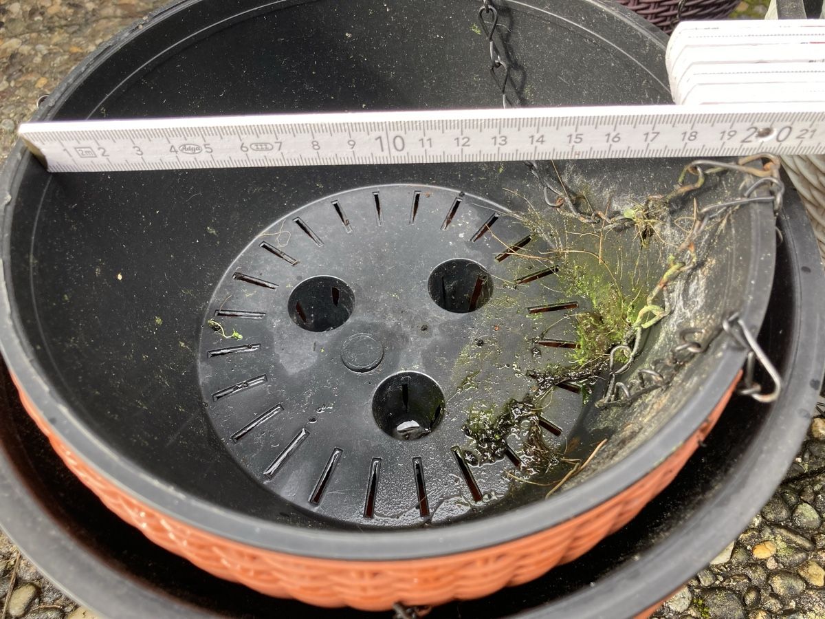 Blumentöpfe: Hängetöpfe Ampeln – Gebraucht aus Aarwangen von to-hirschi 3