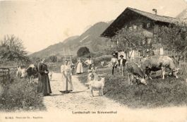 Oberwil   BE  im Simmental        um 1908