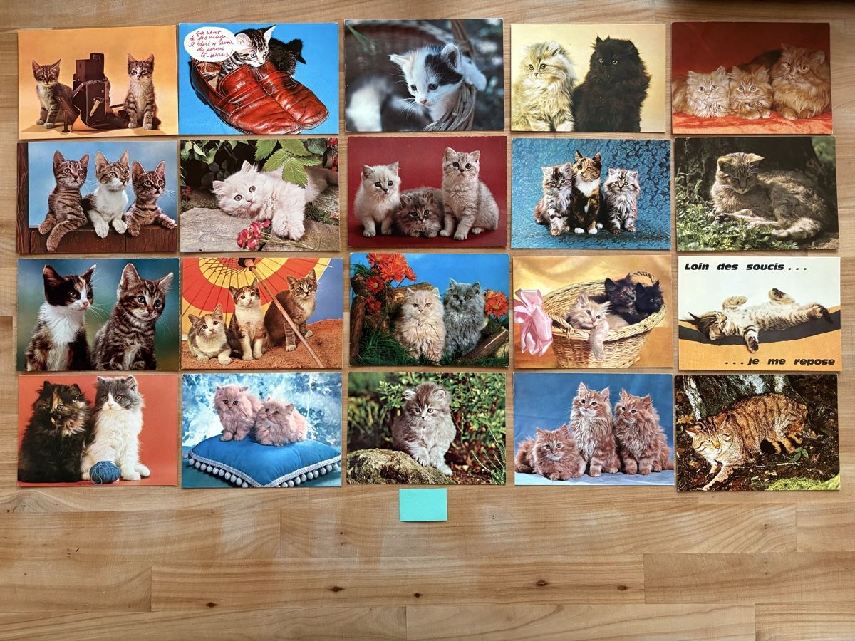 Cartoline postali: 20 AK mit Katzen Motiv – Usato da Rümlang venduto da Kartenpost1