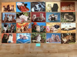 20 AK mit Katzen Motiv