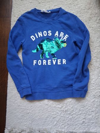 Kinder blau cooles Pulli Gr. 134 mit Dinosaurier-Paillet