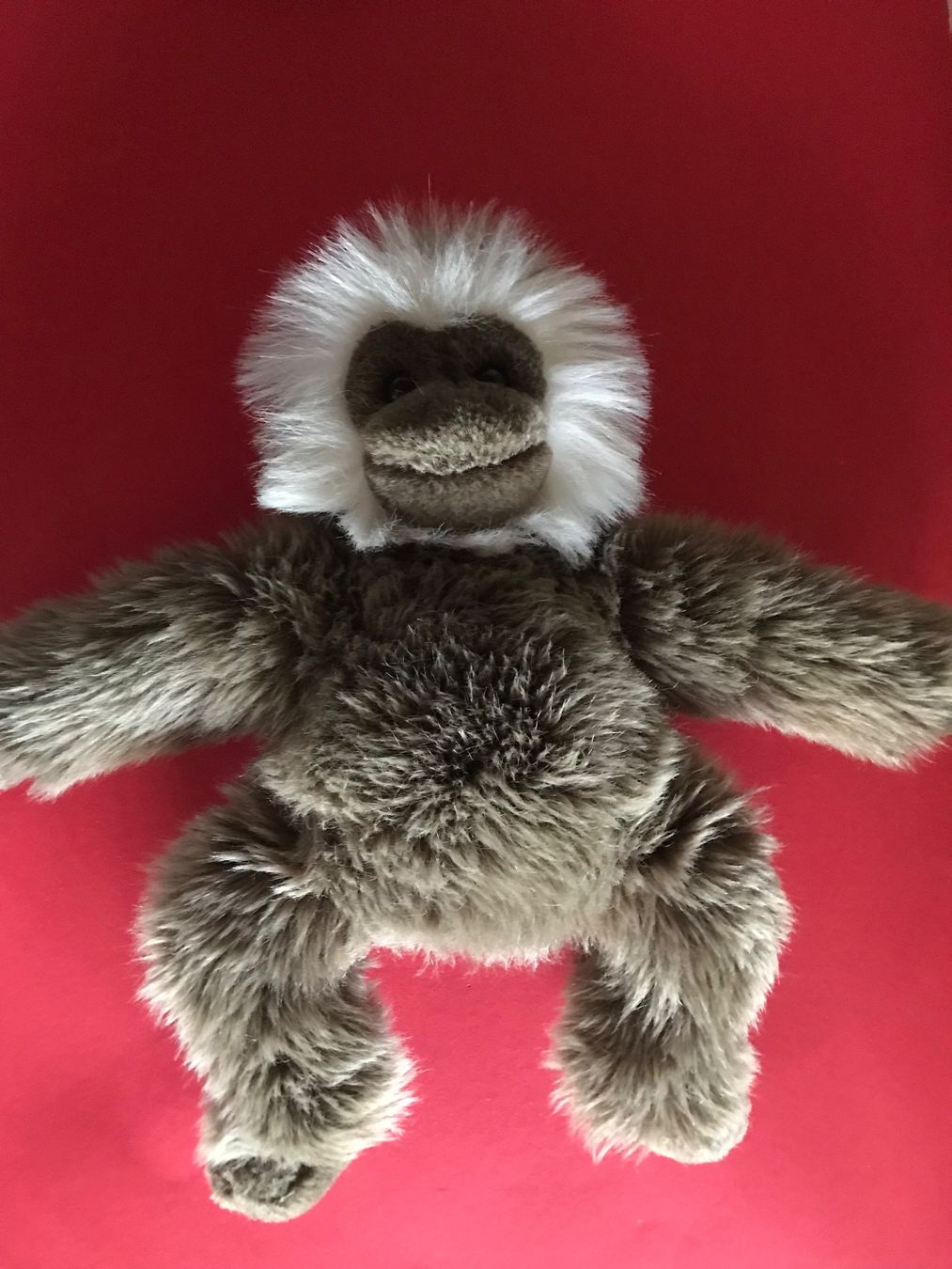 Jouets: Affe Plüschtier Bartaffe sitzend 28 cm WIE NEU – Neuf (Voir description) à Däniken SO par allerlei54 6