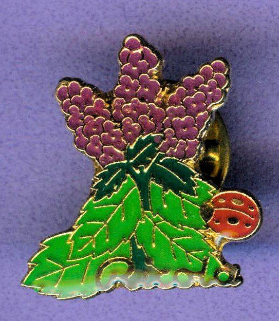Placchette & Badge: Ricola   Mentha – Usato da Winterthur venduto da Sammleroase