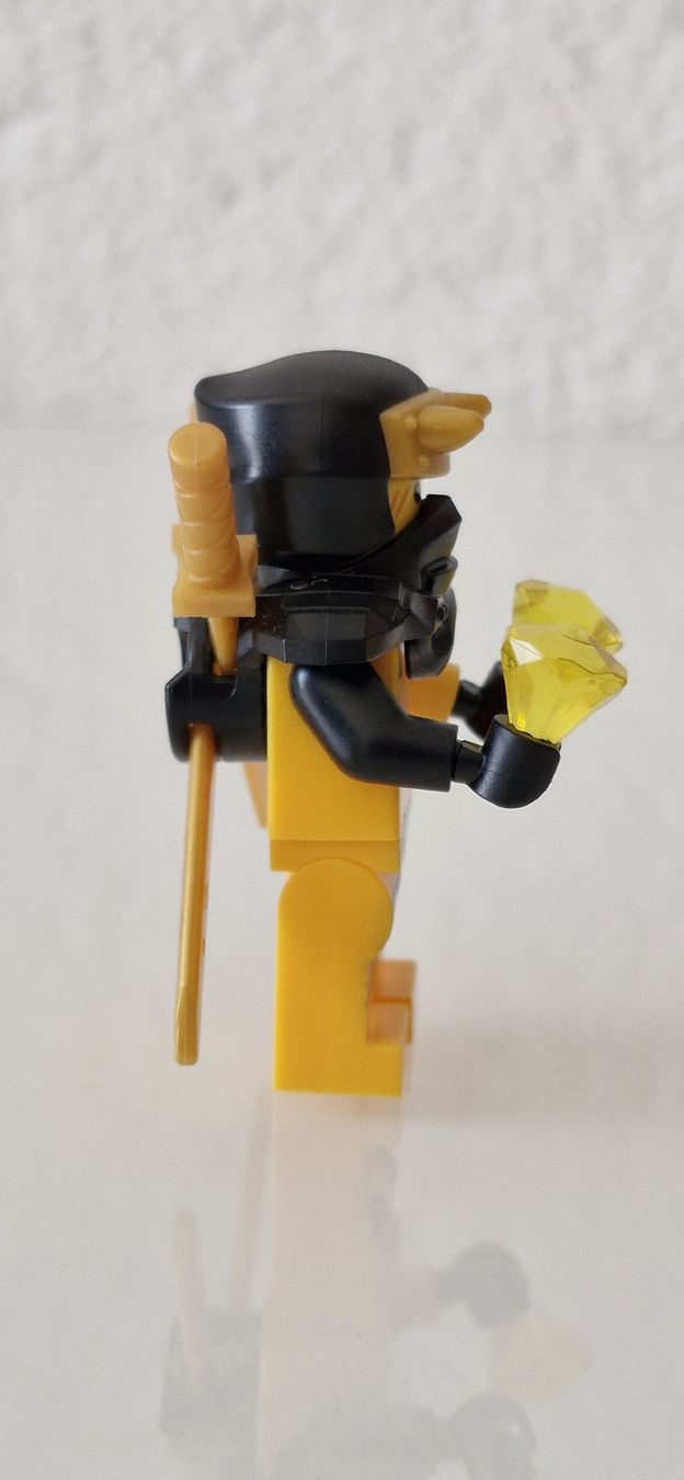 Lego Figuren: LEGO NINJAGO Arin UNBESPIELT – Neu (gemäss Beschreibung) aus Anglikon von der_dp89 1