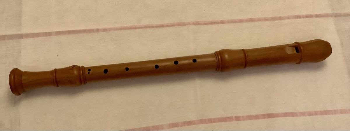 Musikinstrumente: Tenorblockflöte – Gebraucht aus Henggart von hasu