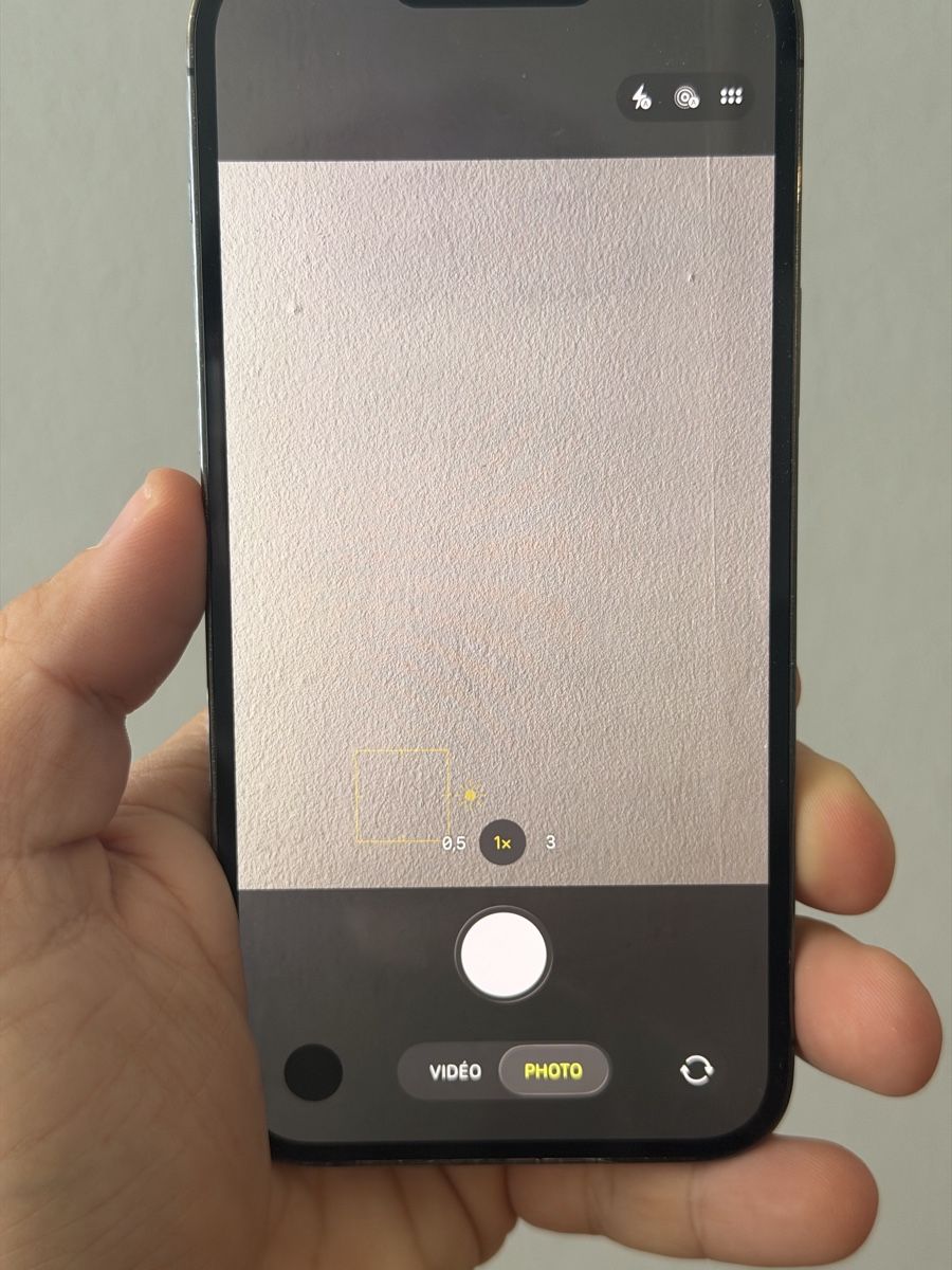 Apple Portables: iPhone 13 Pro Max 256Gb  – D'occasion à Genève par Phoneconcept 4