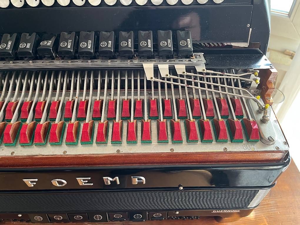 Strumenti musicali: Accordéon avec convertisseur – Usato da Martigny venduto da Cavag 4