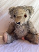 Antiker Teddybär 🧸 