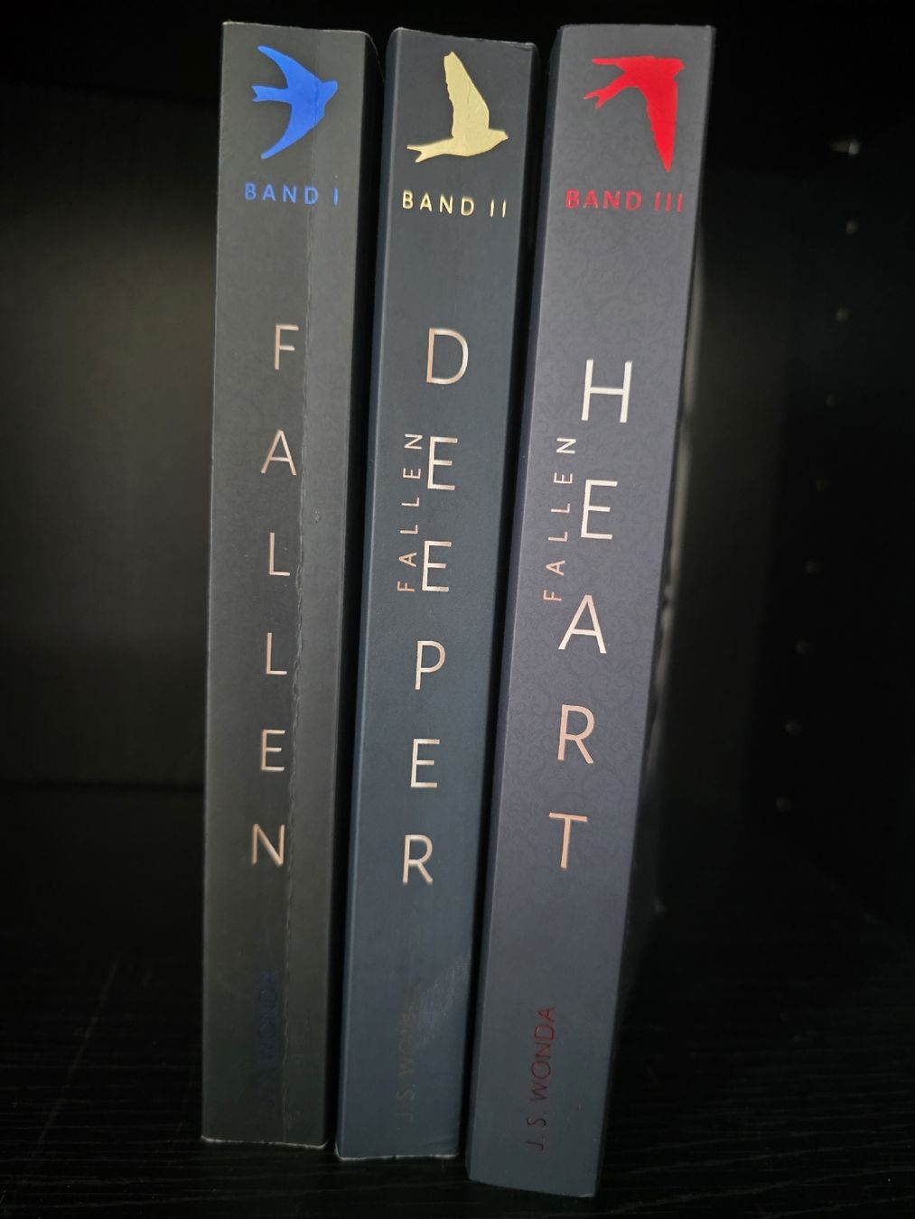 Libri: J.S Wonda Fallen Reihe Dark Romance – Usato da Tägerwilen venduto da XeniaH 4