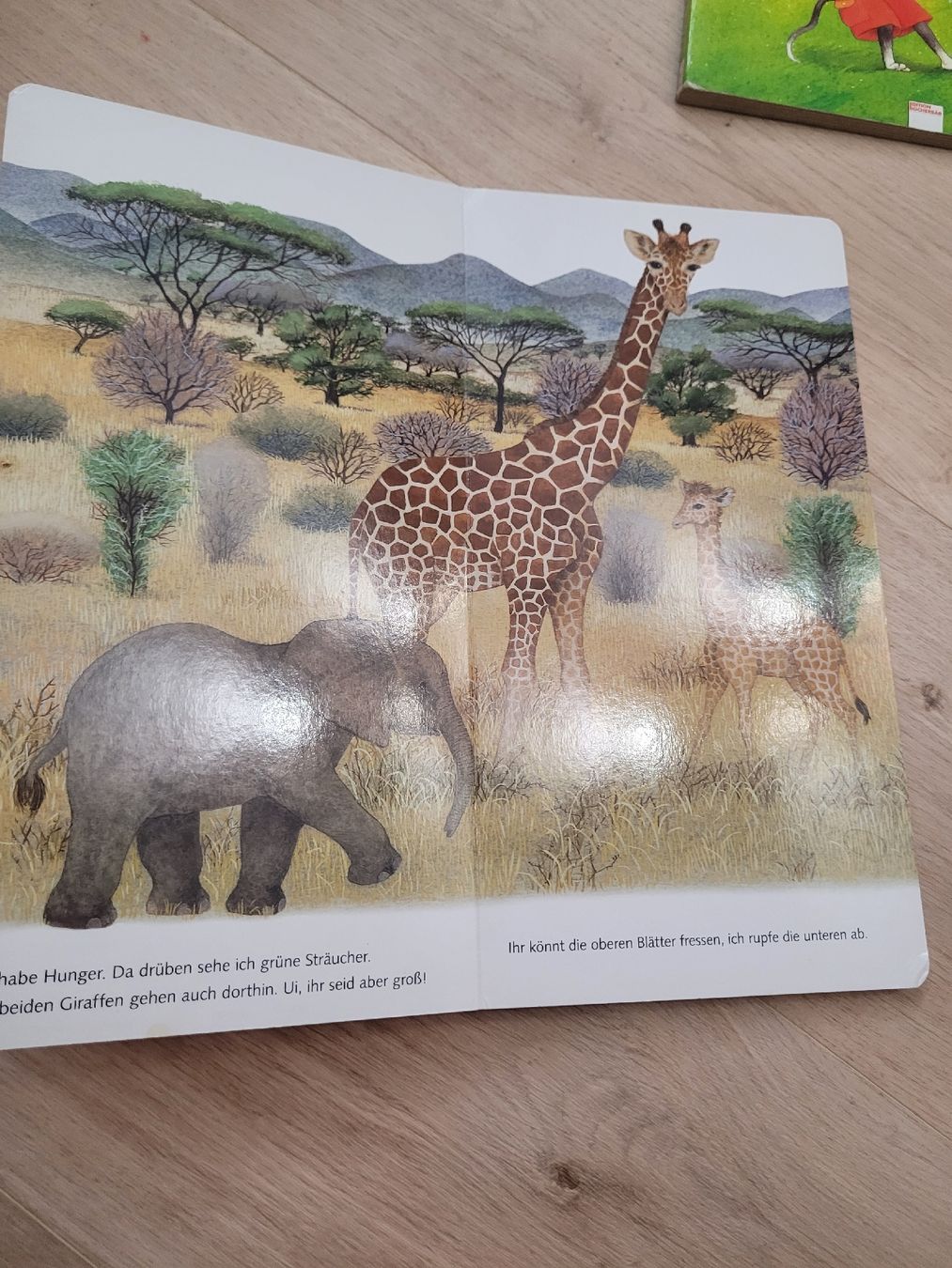 Livres: Buch Tierkinder 2 Jahre – D'occasion à Lupsingen par sta_wgg5 7