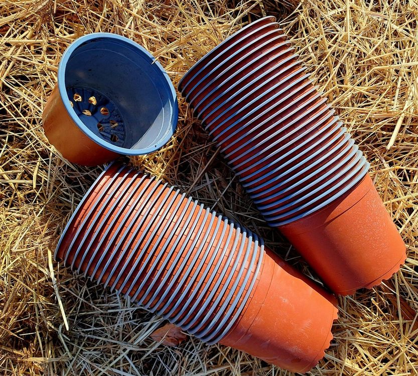 EHOTER 50 Pflanztöpfe Aus Kunststoff – 25 Cm Hoch, 12 Cm Ø, Schwarz, Mit Löchern, Für Drinnen & Draußen