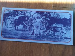 Thailand (-35%) -  Present. Pack 1992