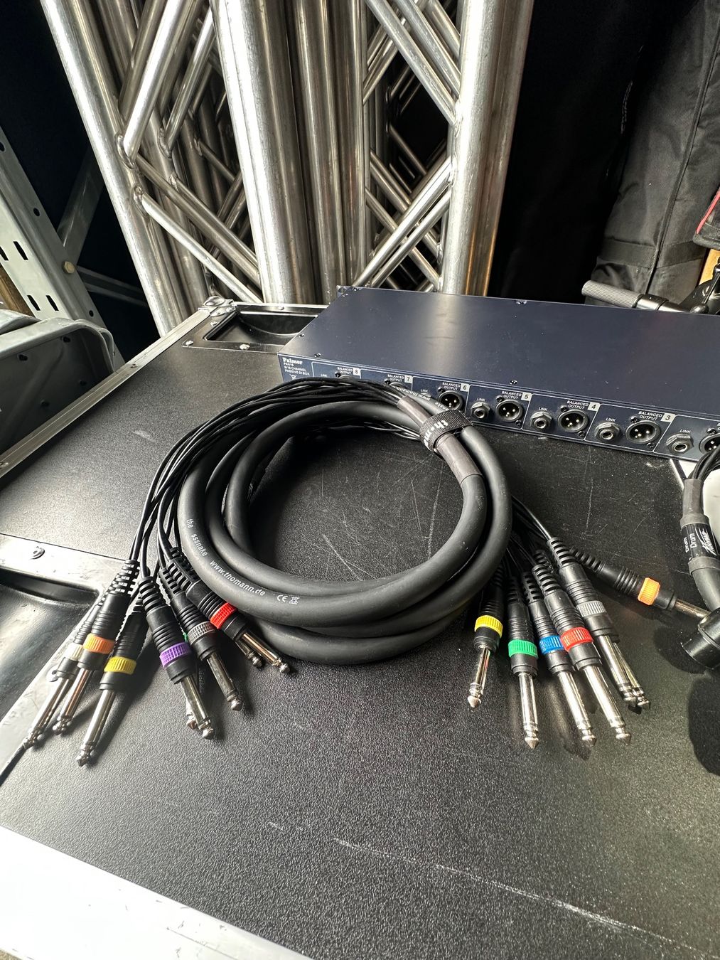 Strumenti musicali: Palmer Pan 16 inkl. Kabel – Usato da Brittnau venduto da marwit-tonstudio 4