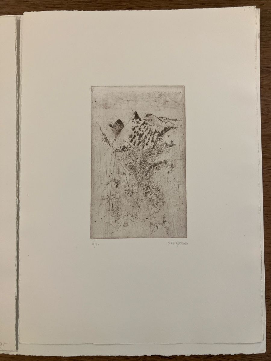 Incisioni: Godi HOFMANN - portfolio de 6 gravures – Usato da Lausanne venduto da Willandco 7