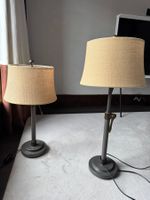 Set of 2 HomeRoots 30 in. Silver Metal Adjustable Table Lamp