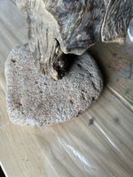 Miroir décoratif en bois flotté, unique et artisanal!