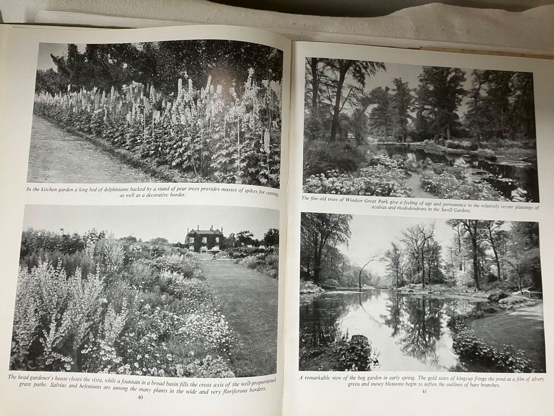 Libri: Royal Gardens  Lanning Roper – Usato da ZUERICH venduto da Carolus1 9