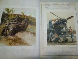 "Wehrhafte Schweiz" - uraltes Buch - geschichtsträchtig 100J