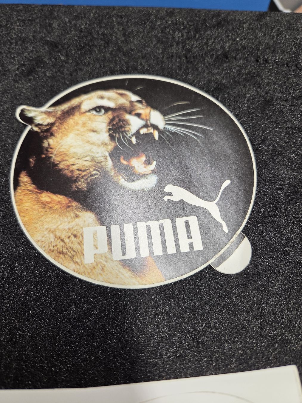 Autocollants: Aufkleber Puma  – D'occasion à Wetzikon ZH par AmacherM 1