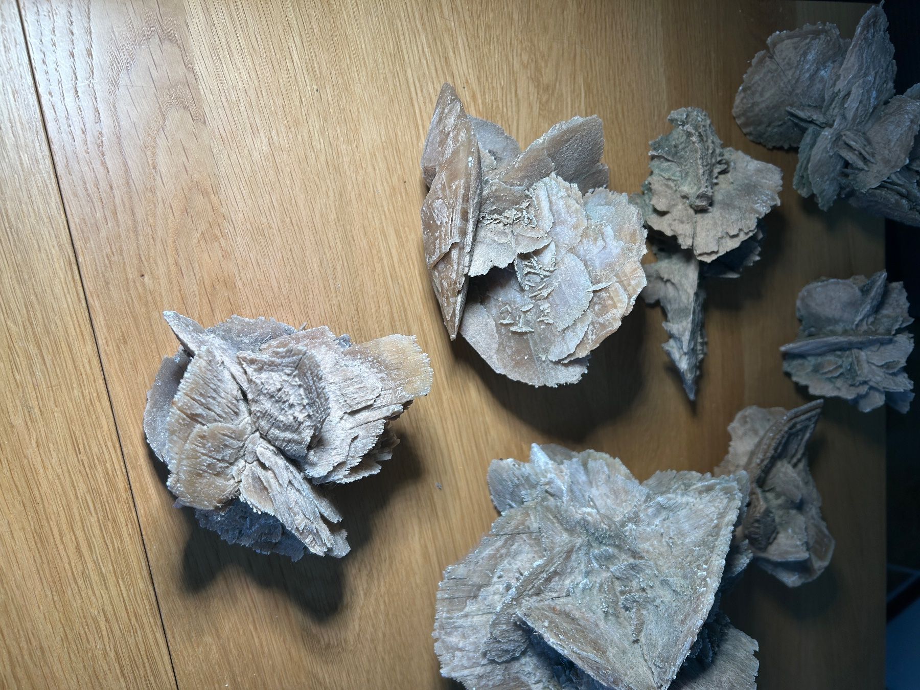 Tutte le decorazioni: Wunderschöne Seerosen Sammlung - 7 Stück - Dekoration – Usato da Uster venduto da tanaweide 1