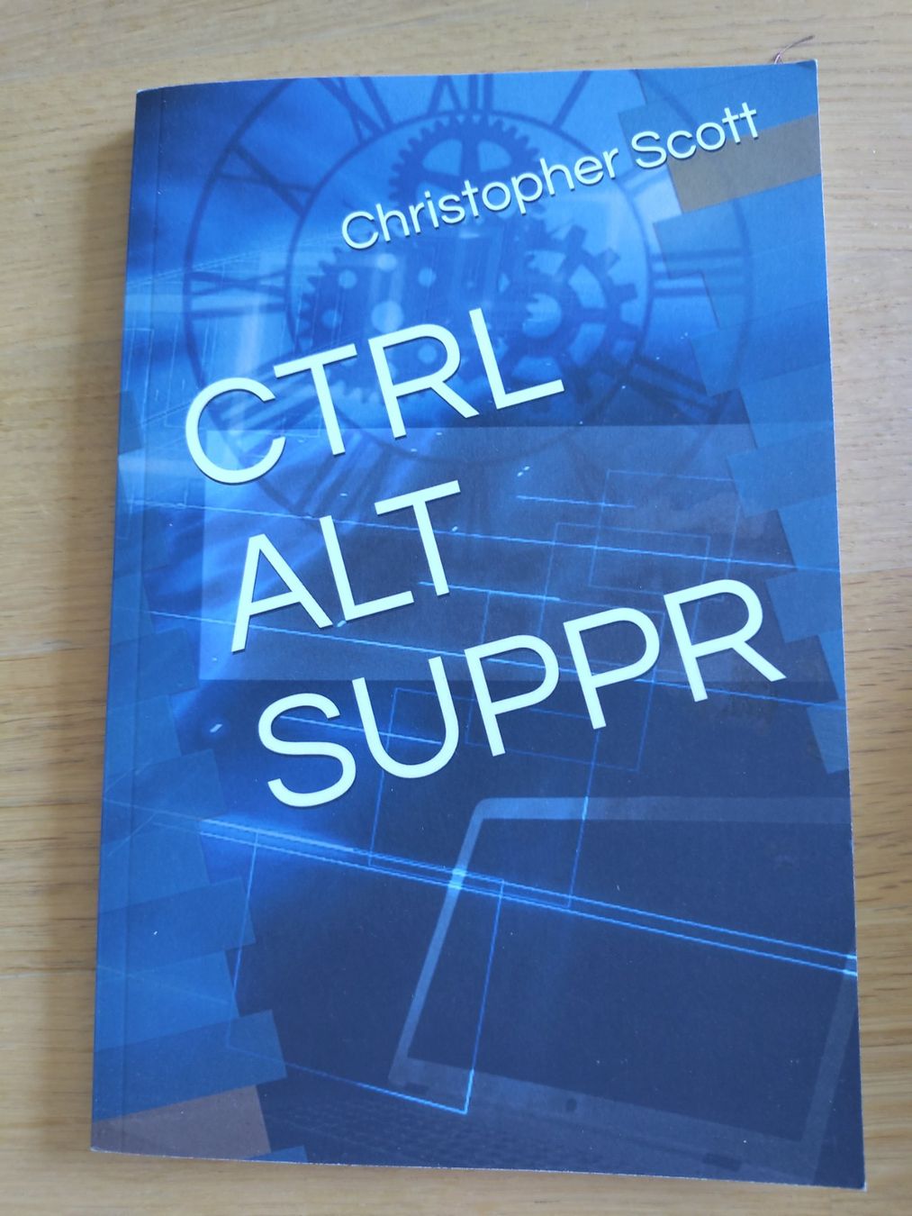 Libri: CTRL alt suppr – Usato da Denges venduto da lay_xpy7