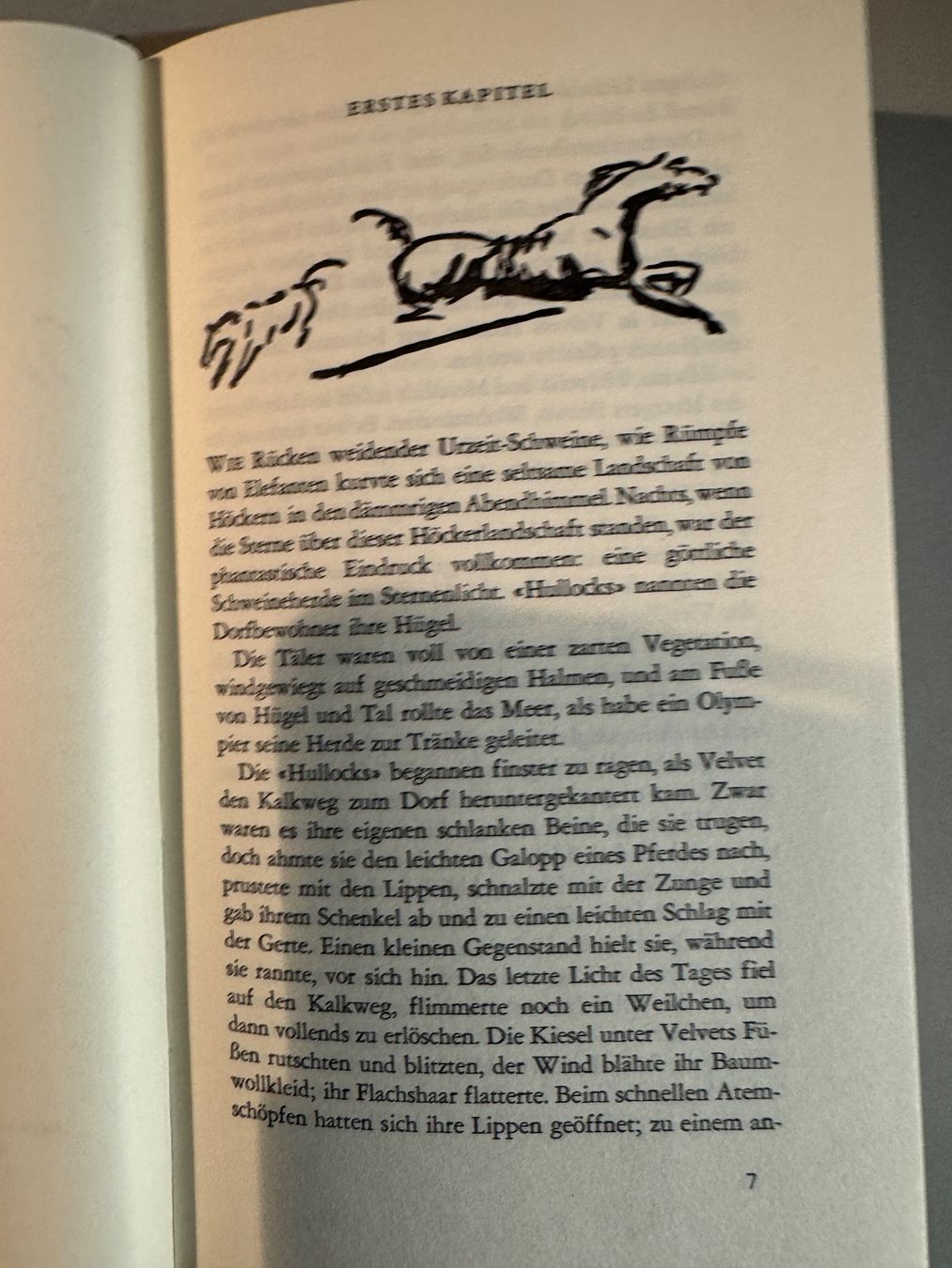 Livres: Enid Bagnold - Das Mädchen mit dem Pferd – D'occasion à Erstfeld par Mario_boe0 5