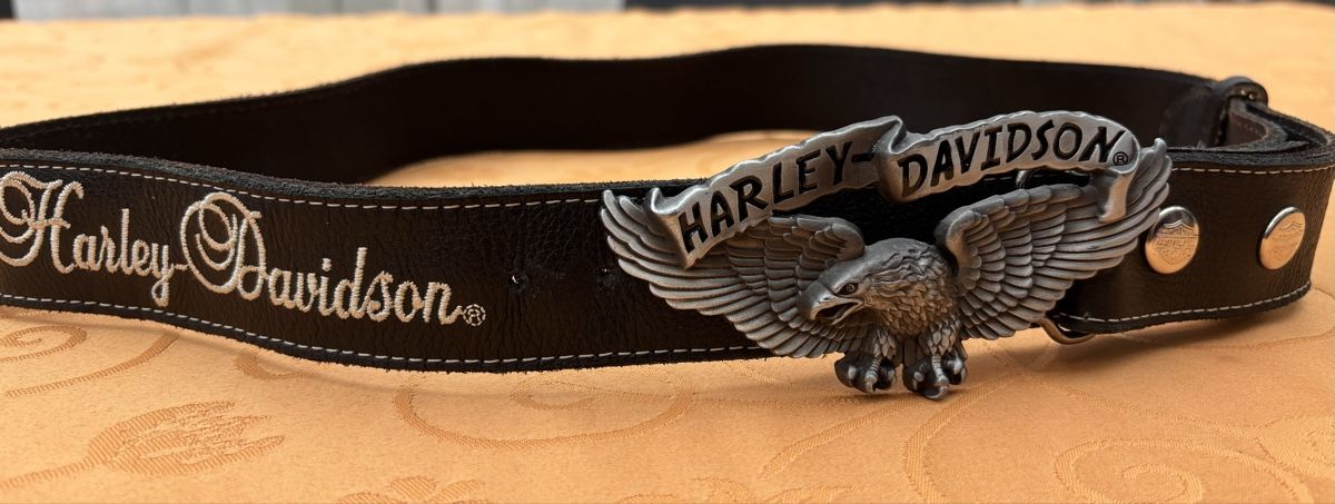 Harley-Davidson Gürtel: Harley Davidson Gürtel. Länge 110 – Gebraucht aus Felsberg von vre_yc7k