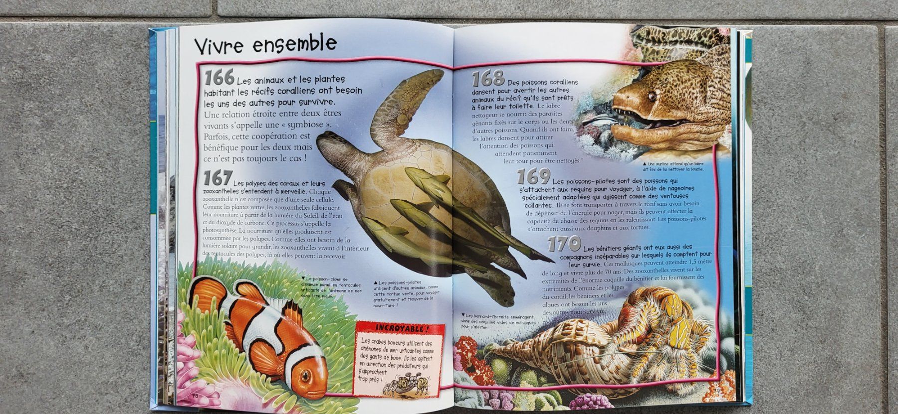 Bücher: 500 infos - Les océans – Gebraucht aus Sembrancher von Jbc71 2