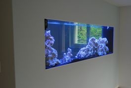 Top Design Süsswasseraquarium von SEA PLANET