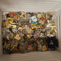 100 stück pin sammlung lot