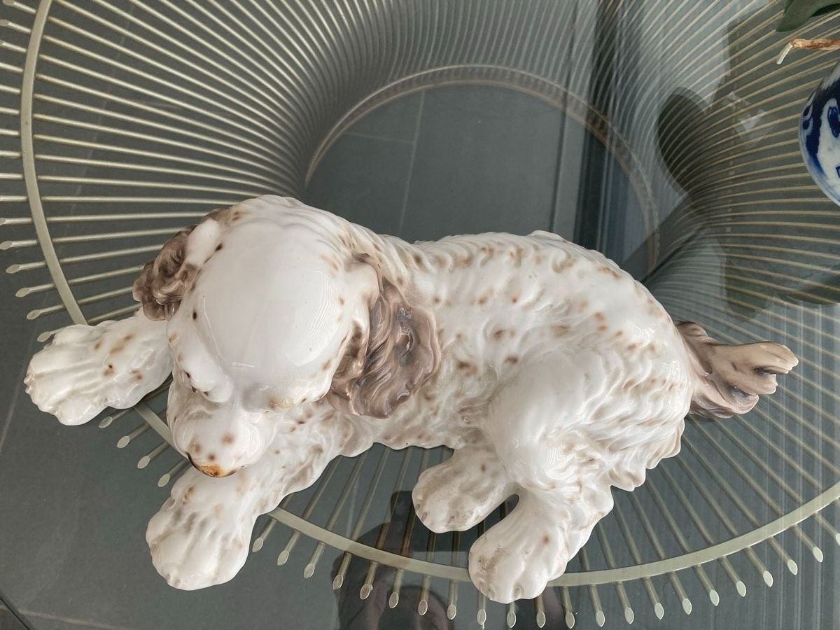 Statuette: Wunderbare Hundefigur Cocker Spaniel, Italien, alt – Usato da Zürich venduto da kostbares 1