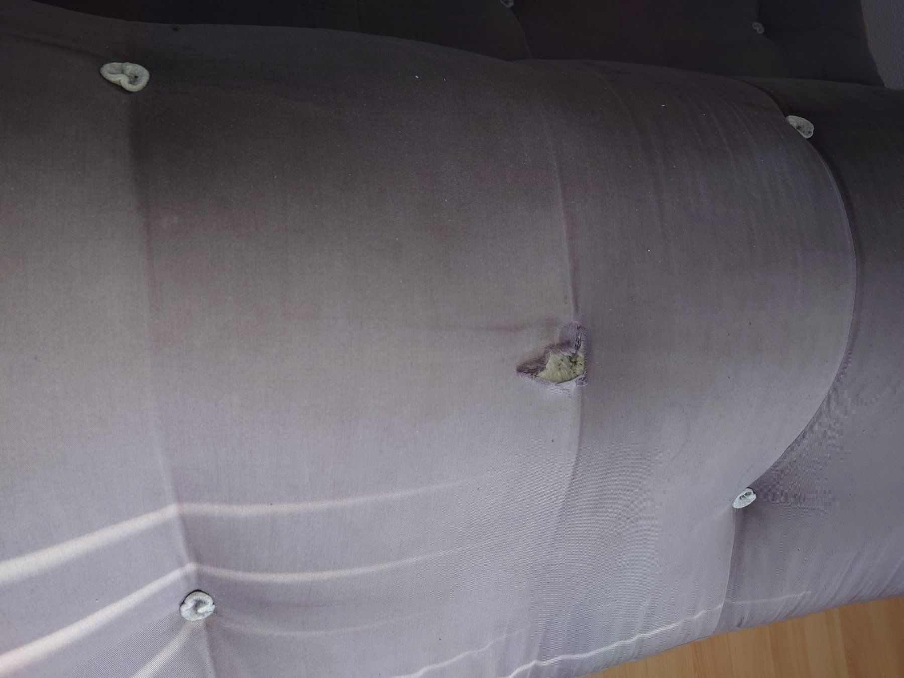 Letti: Futon – Usato da Zürich venduto da MiHa_XXXX 4