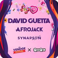 1x billet Venoge Festival David Guetta