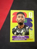 Panini FIFA WM 2026 Sticker - RSA 3