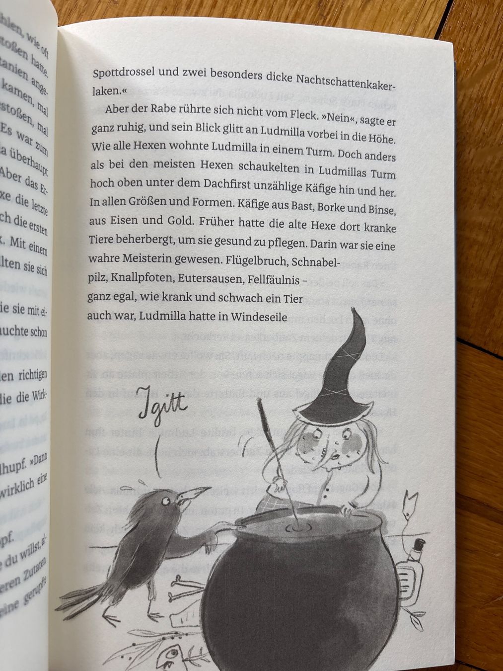 Libri: Luca & Ludmilla Sybille Hein NEU – Usato da Genève venduto da Livsonman 2