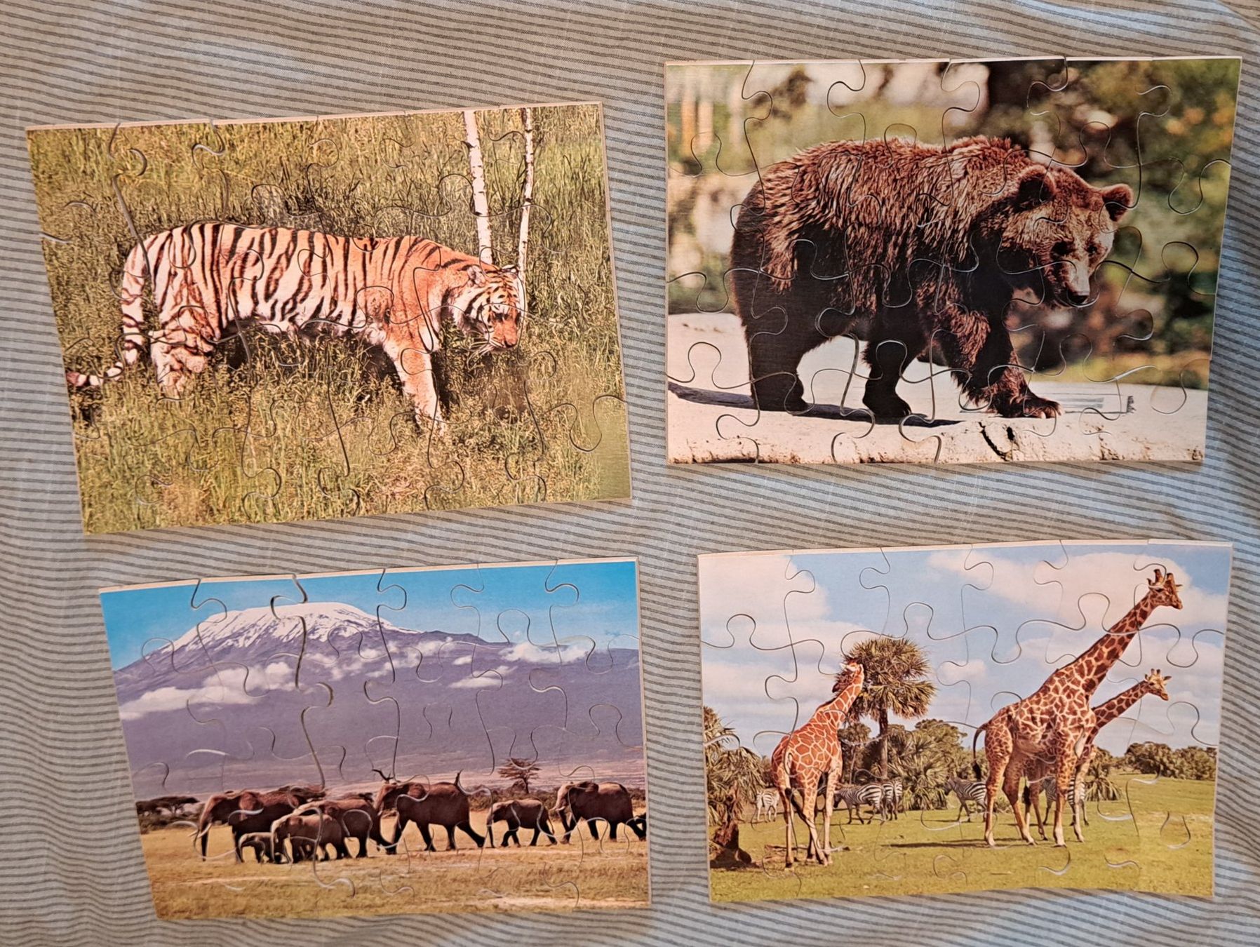 Penelope Puzzle: Penelope Multi Puzzle aus Holz – Usato da Adliswil venduto da edi_5m7l 2