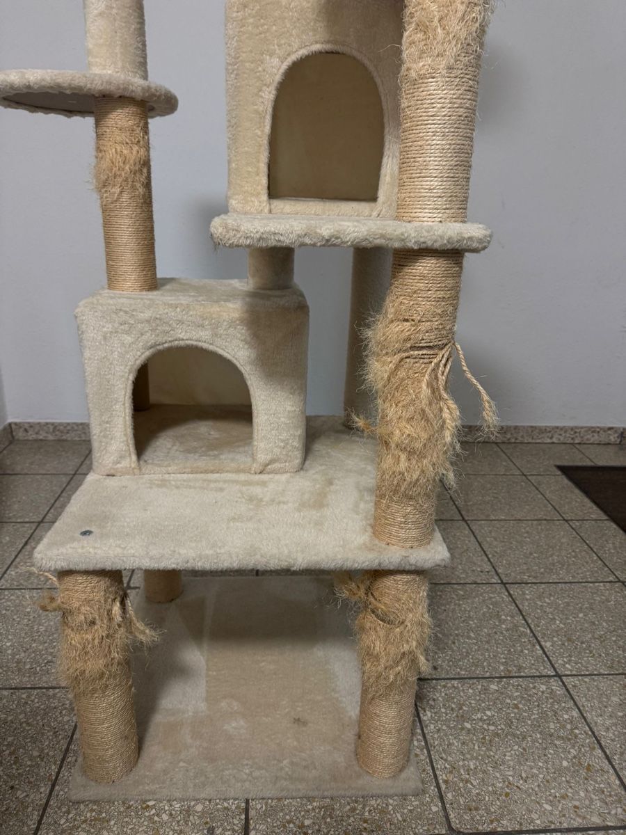 Tiragraffi: Katzenbaum  – Usato da St. Gallen venduto da sla_kxb6 1