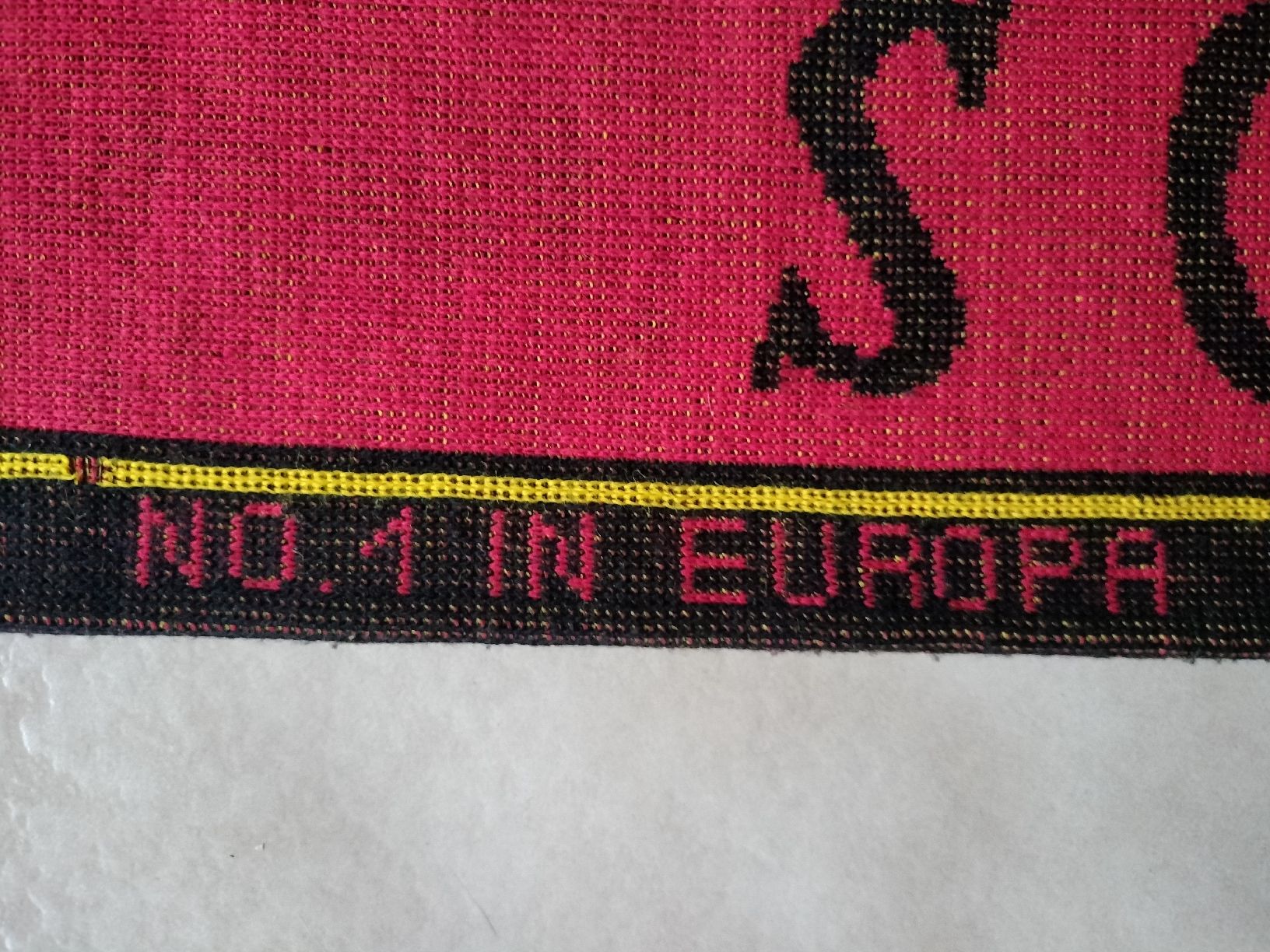 Foulard & Sciarpe: Alter SC Bern SCB Fan Schal – Usato da Schwanden Sigrisw venduto da Wibe81 1