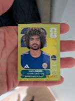 Panini Bild CUW 14
