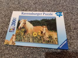 Puzzle 200 Pferd
