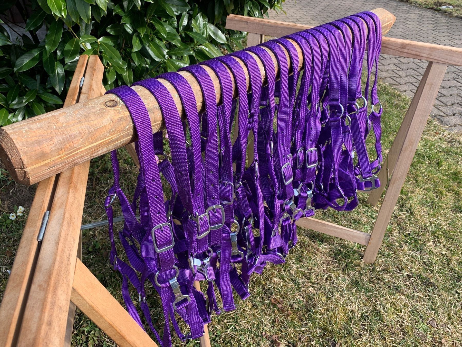 Briglie & Cavezze: 20 schöne Nylonhalftern – Usato da Feldbach venduto da Fea1 8
