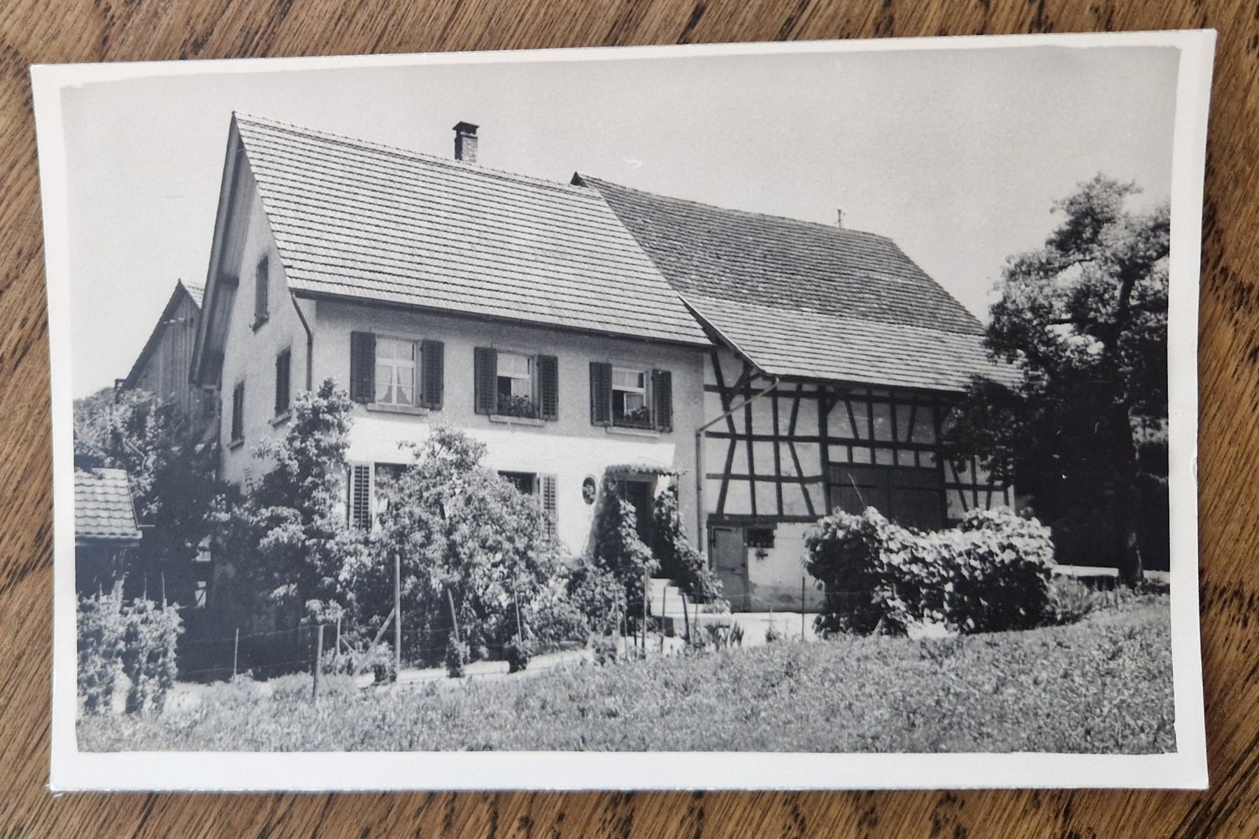 Cartoline postali: unbekanntes Haus – Usato da Ebikon venduto da Donar50