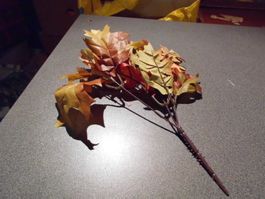 Herbstblätter farbig