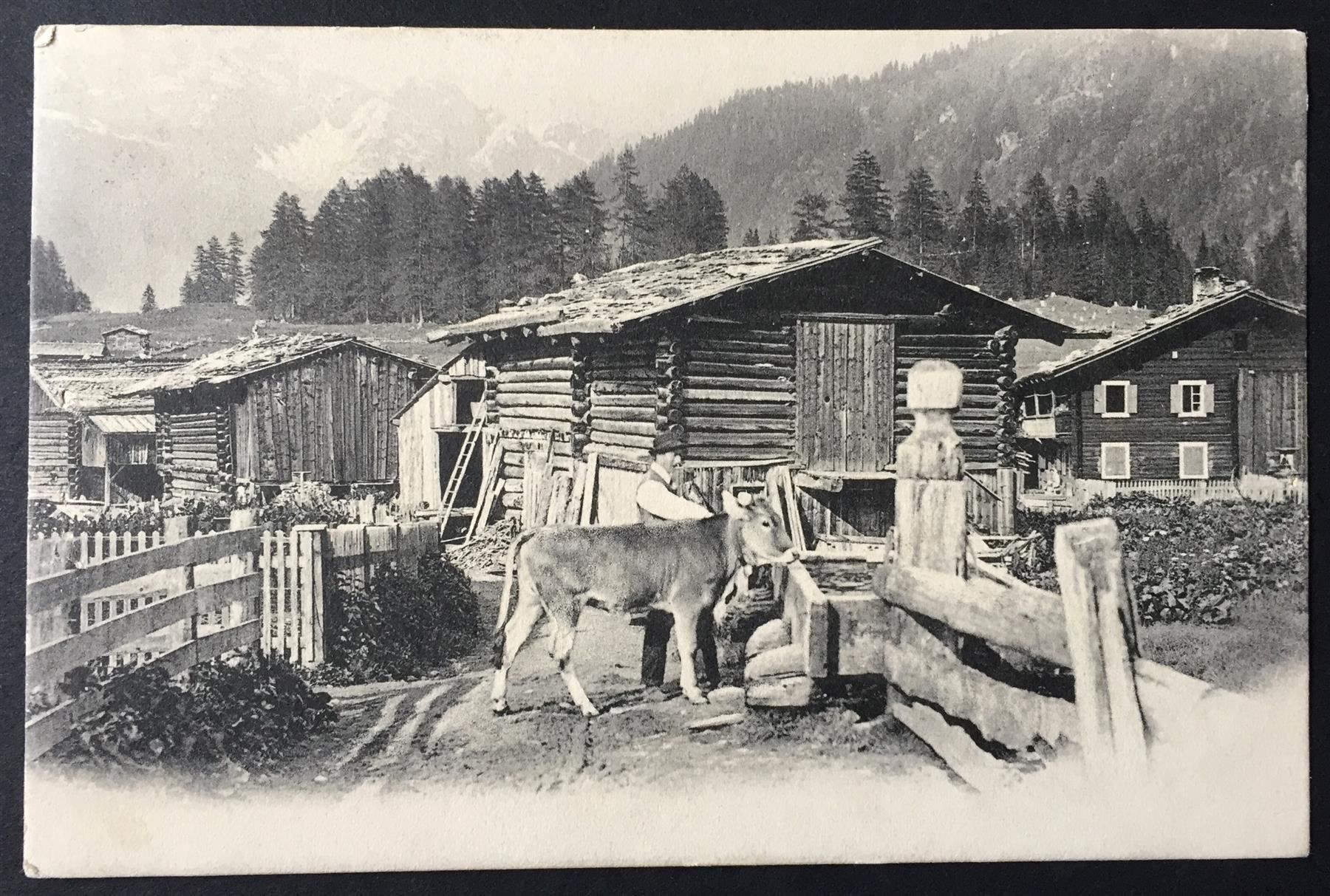 Ansichtskarten: FLUMSERBERG Alp Gamperdon - Bauer mit Kuh – Gebraucht aus Jona von philajona