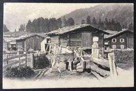 FLUMSERBERG Alp Gamperdon - Bauer mit Kuh