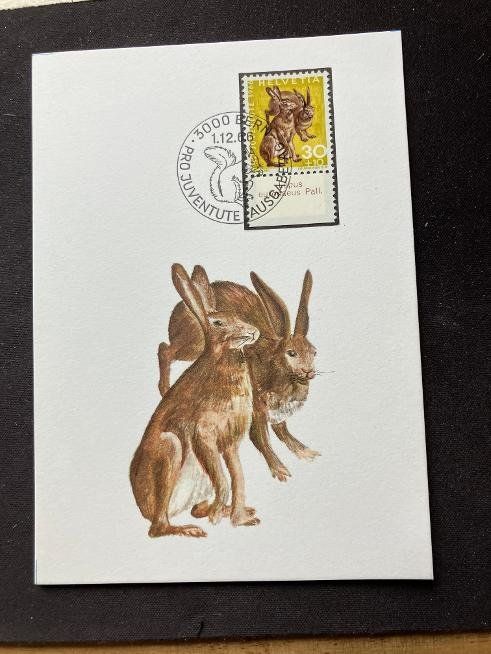 Tutti i francobolli: Cartes maximum PJ 1966 Tabs dès 2.- – Usato da Courtételle venduto da Boton0 3