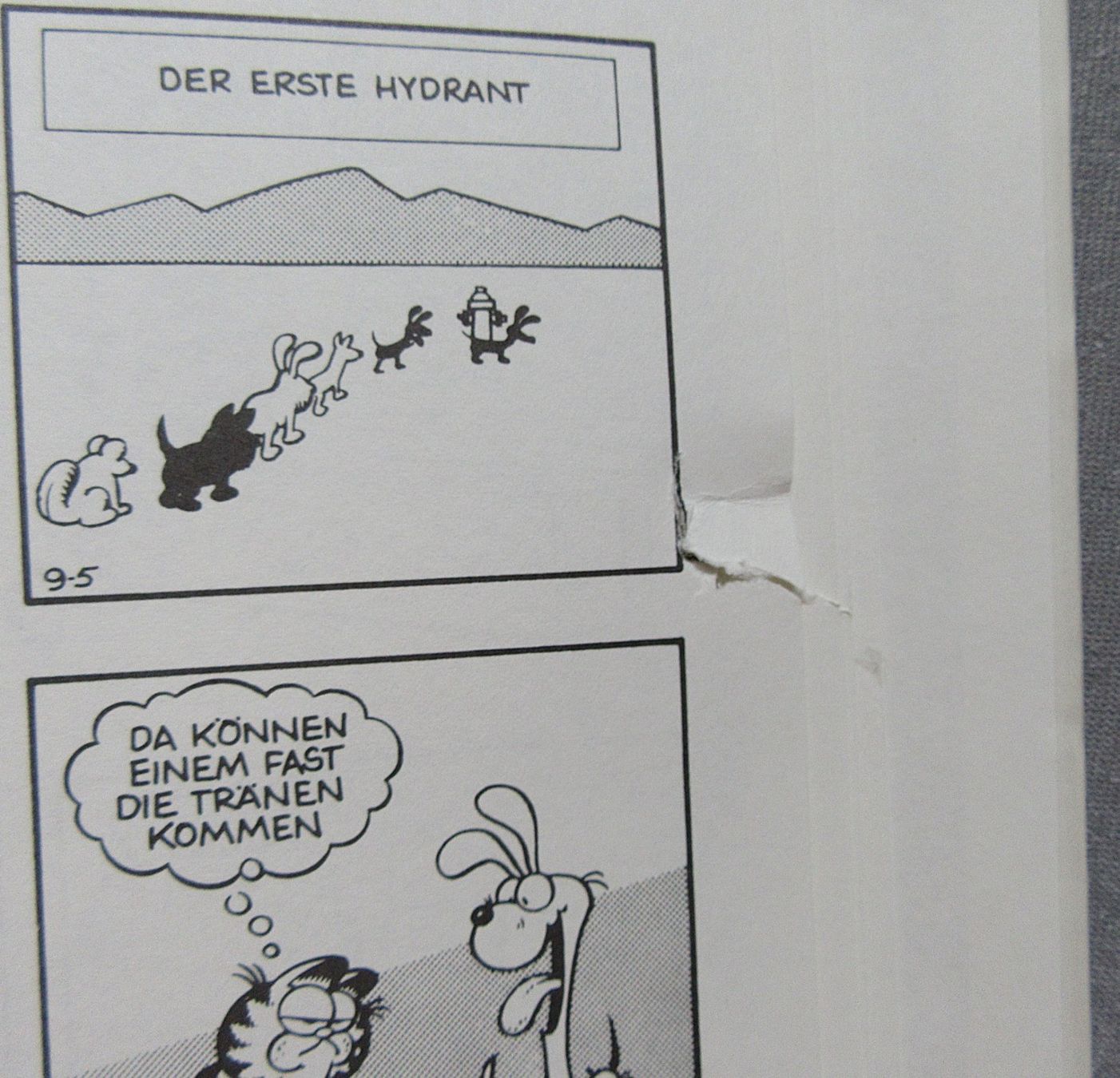 Fumetti: Die Garfield Revue - von Jim Davis – Usato da Auenstein venduto da Padabimbim 8